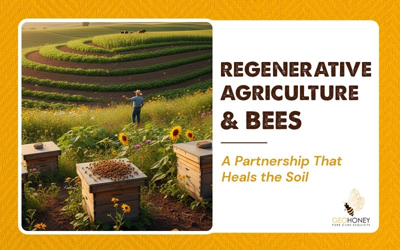 Regenerative Agriculture & Bees: A Partnership That Heals the Soil
